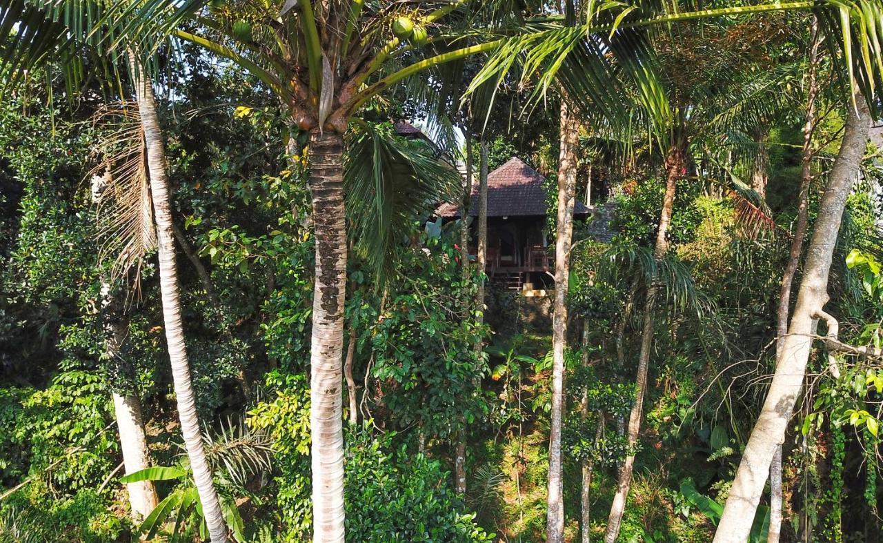 Secluded Jungle Villa Ubud  Ngoại thất bức ảnh