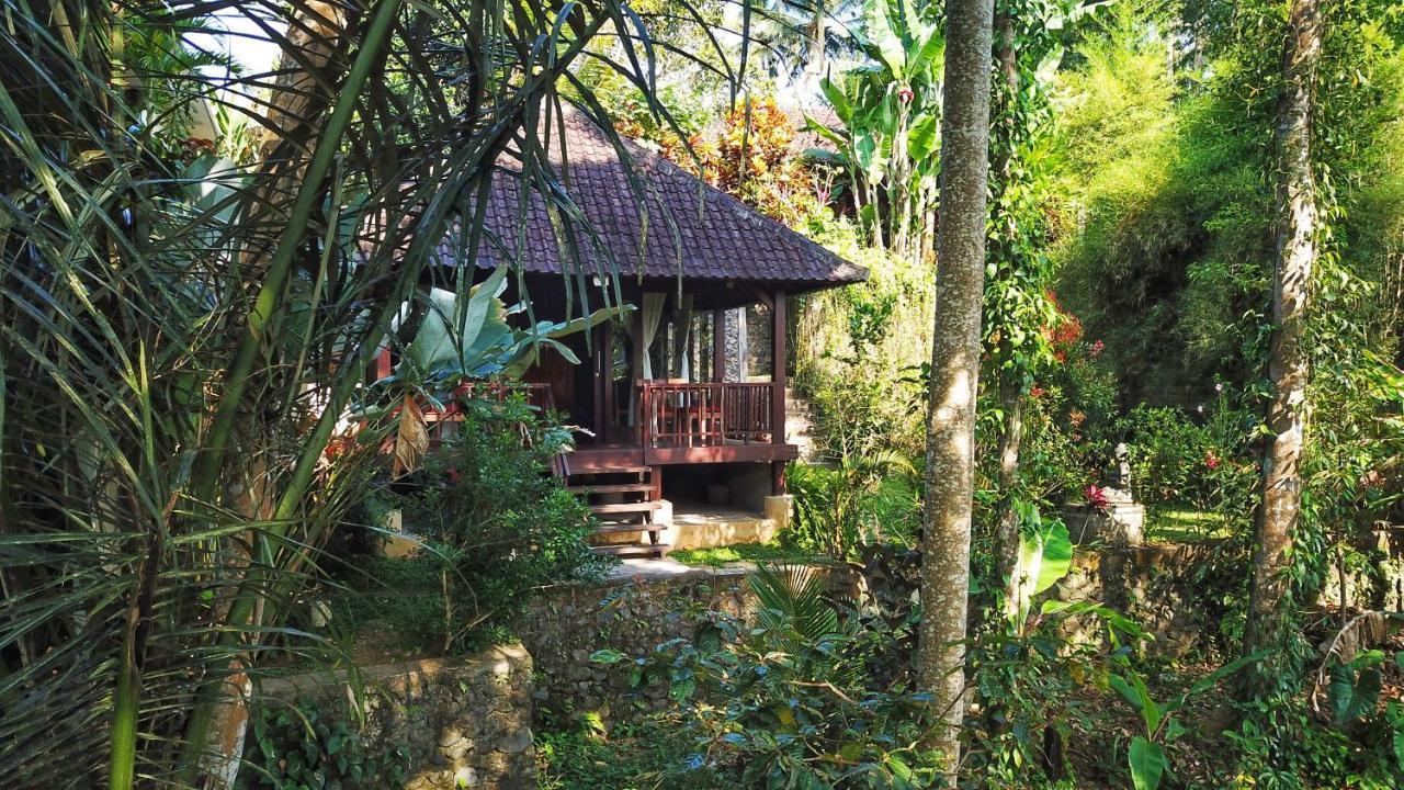 Secluded Jungle Villa Ubud  Ngoại thất bức ảnh